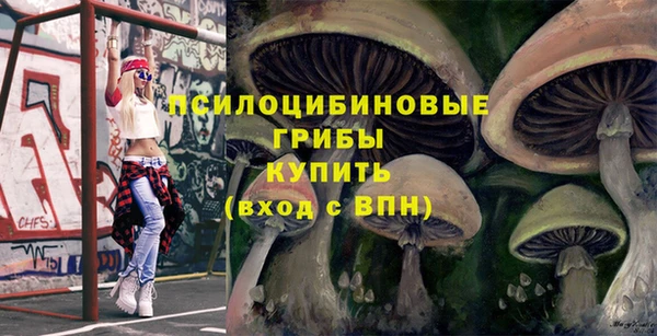 МДПВ Верхний Тагил