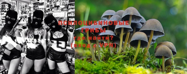 mdpv Волоколамск
